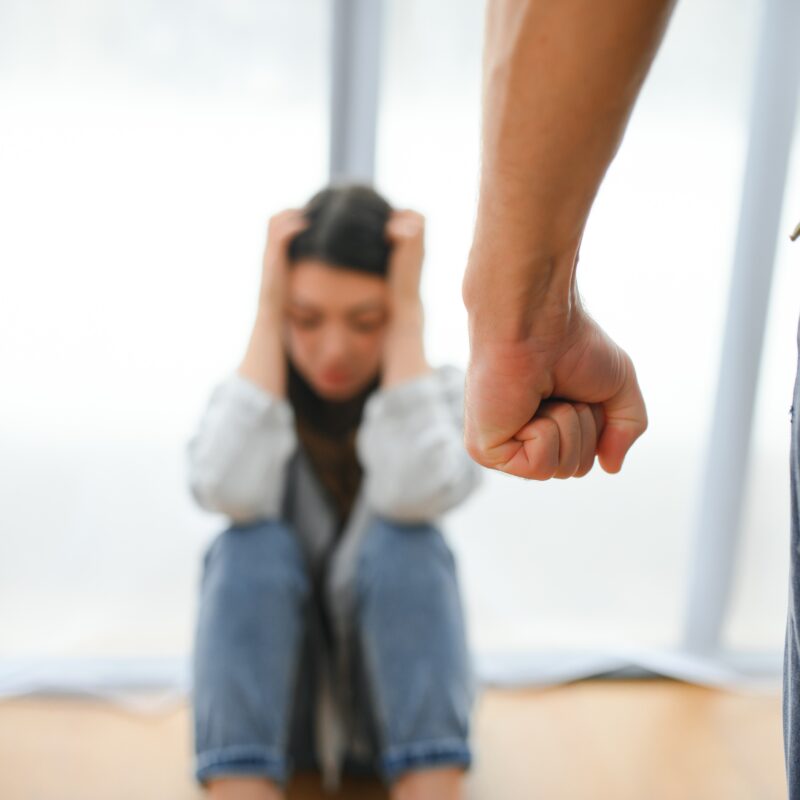 PÓS-GRADUAÇÃO EM VIOLÊNCIA DOMÉSTICA E A ATUAÇÃO DO ASSISTENTE SOCIAL