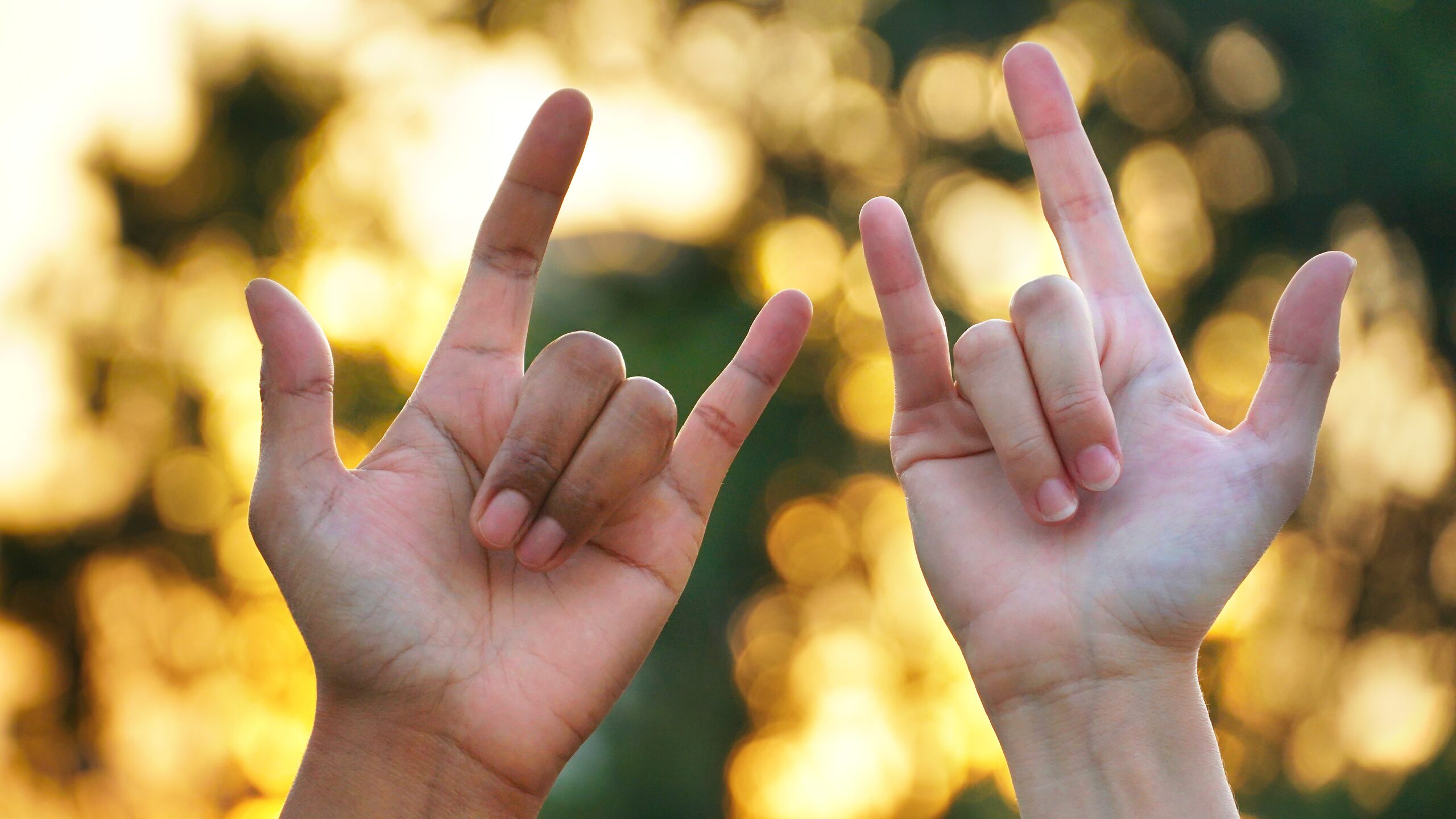 PÓS-GRADUAÇÃO EM LIBRAS: LINGUA BRASILEIRA DE SINAIS