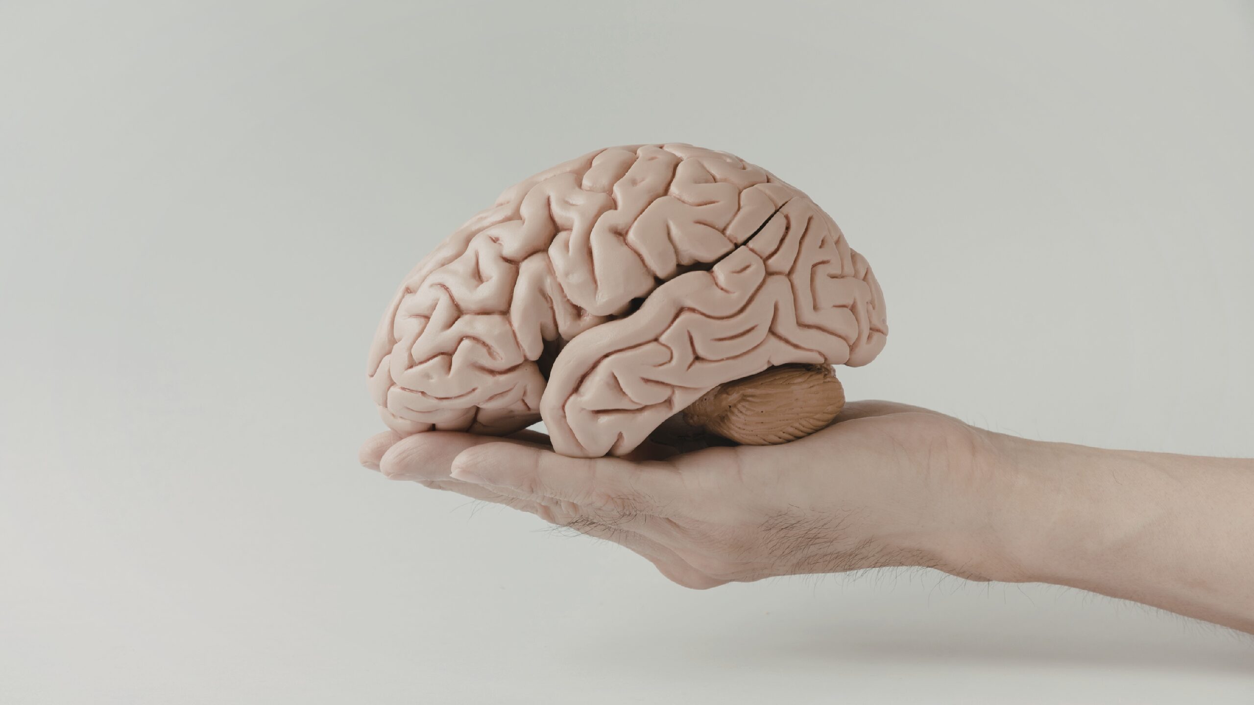 PÓS-GRADUAÇÃO EM NEUROCIÊNCIA